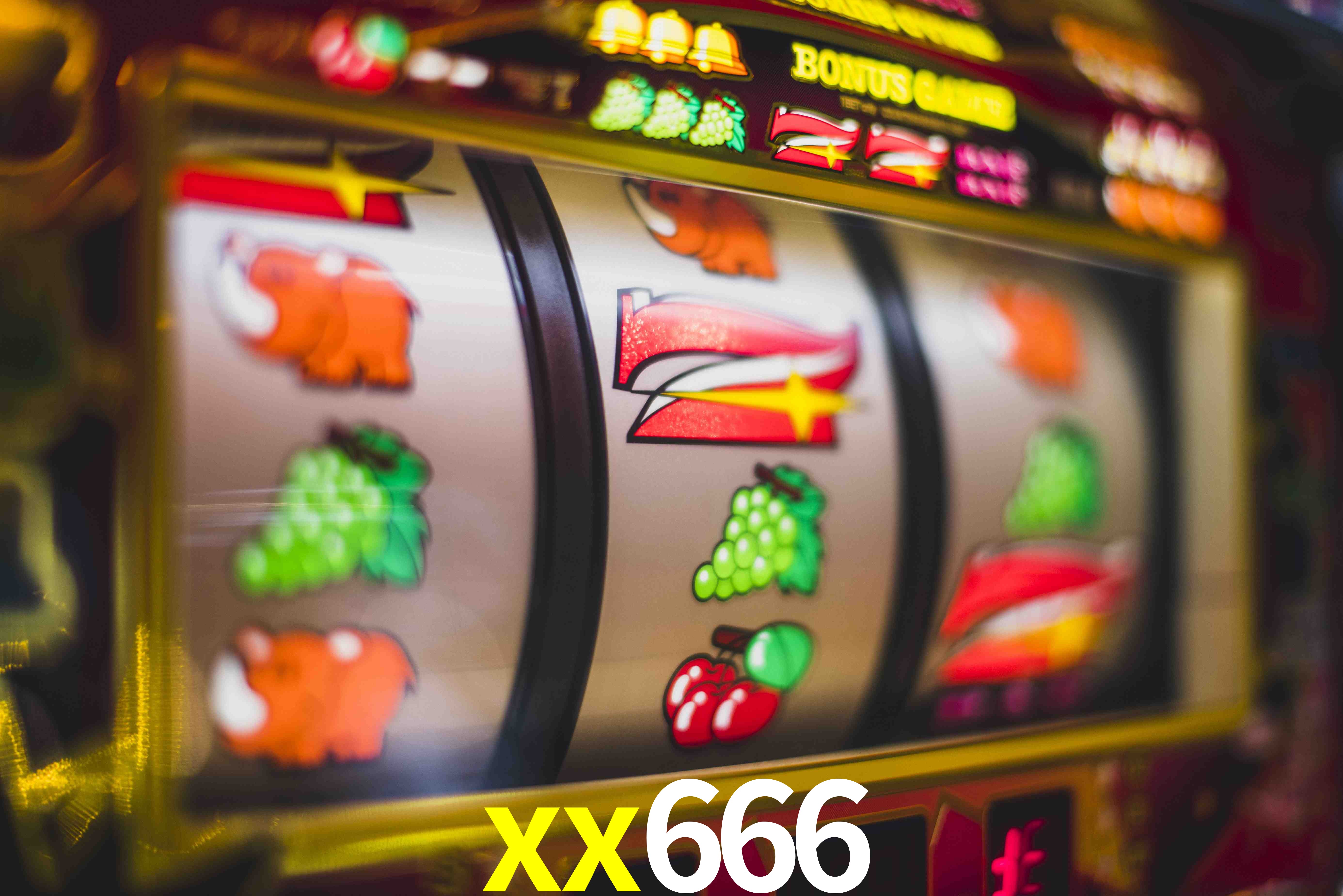 Football Betting xx666